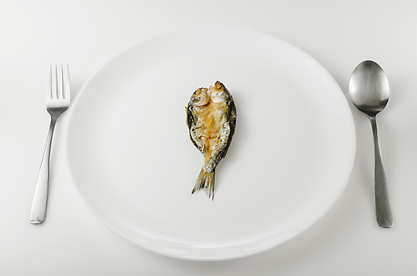 포토 JPG 해외이미지 음식 포크 어류 사람없음 머리 숟가락 죽음 해산물 꼬리 절임 짠맛 해외포토 식기 수저 신체부위 수중동물 맛 파일형식 이미지허브