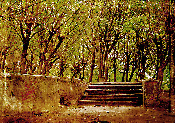 포토 JPG 해외이미지 나무 공원 종이 백그라운드 표면 날씨 추상 사람없음 목재 책 갈색 노란색 우주 계단 수확 덮개 점 거친 주름 균열 황폐 질감 복고 심플 캔버스 페이지 스크래치 찢어짐 시트 단계 구김 구식 선로 세피아 양피지 옛날 파피루스 노화 스타일 해외포토 식물 공공시설 컬러 컨셉 무늬 농업 재료 모션 촬영기법 뚜껑 파일형식 이미지허브