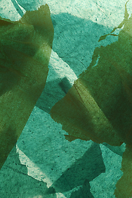 포토 JPG 해외이미지 종이 백그라운드 패턴 추상 사람없음 파란색 흰색 조직 가장자리 찢어짐 해외포토 컬러 무늬 모션 둘레 파일형식 이미지허브