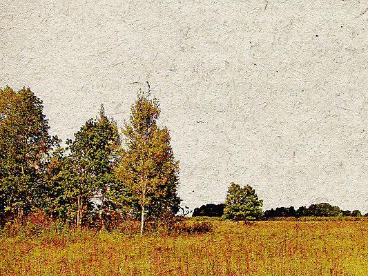 포토 JPG 해외이미지 나무 디자인 종이 백그라운드 패턴 자연 표면 프레임 사람없음 목재 물 노란색 쪽지 손상 수확 덮개 점 얼룩 거친 균열 실 질감 문서 복고 먼지 페이지 고정 찢어짐 구김 구식 그런지 보유 세피아 양피지 옛날 원고 해외포토 자연요소 식물 컬러 컨셉 무늬 농업 재료 모션 촬영기법 뚜껑 생태계 파일형식 이미지허브