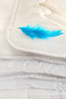 포토 JPG 해외이미지 가정 침구 건강 사람없음 파란색 빛 펼침 침실 이불 덮개 흰색 침대 직물 면 몸무게 담요 천 심볼 깃털 오브젝트 질감 청록색 부드러움 시트 솜털 접기 해외포토 컬러 가구 모션 뚜껑 감각 파일형식 이미지허브