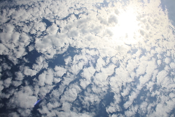 포토 JPG 해외이미지 구름 계절 백그라운드 패턴 자연 하늘 바람 날씨 풍경 사람없음 야외 가로 여름 파란색 빛 햇빛 태양 뷰티 우주 환경 맑음 침묵 자유 흰색 전원 오픈 분위기 장면 천국 솜털 스카이라인 흐림 오존 해외포토 자연요소 컬러 컨셉 무늬 소리 전기에너지 생태계 파일형식 이미지허브