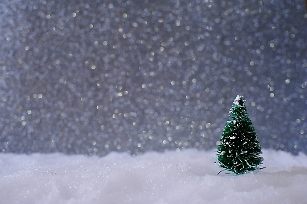 포토 JPG 해외이미지 나무 디자인 계절 백그라운드 크리스마스 겨울 탁자 추상 휴가 새로움 기념 사람없음 내부 목재 장식 가로 빨간색 초록색 빛 우주 축제 장식볼 흰색 나뭇가지 축하 소나무 신용카드 널 소프트포커스 연도 보케 전나무 블러 해외포토 식물 기념일 컬러 가구 컨셉 무늬 재료 촬영기법 금융 파일형식 이미지허브