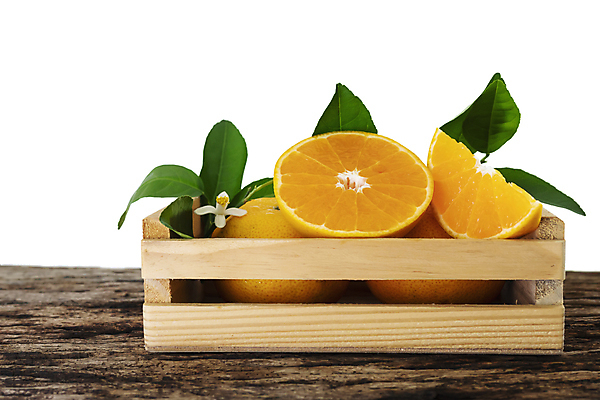 포토 JPG 해외이미지 1 음식 조각 백그라운드 잎 농업 오렌지 과일 부분 자연 귤 건강 사람없음 초록색 세트 노란색 주스 흰색 신선 달콤 맛 자르기 유기농 날것 슬라이스 C 내추럴 고립 숙성 완벽 채식주의자 해외포토 식물 웰빙 알파벳 산업 음료 컬러 컨셉 모션 생태계 채식 파일형식 이미지허브