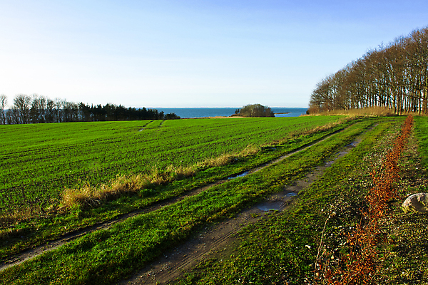 포토 JPG 해외이미지 나무 도로 길 바다 밭 농업 자연 하늘 풍경 잔디 초원 사람없음 야외 초록색 여름 파란색 햇빛 뷰티 평화 침묵 봄 전원 시골 땅 방향 밭일 선로 오지 수평선 소멸 세련 해외포토 식물 계절 산업 컬러 컨셉 교통시설 태양 소리 전기에너지 생태계 파일형식 이미지허브