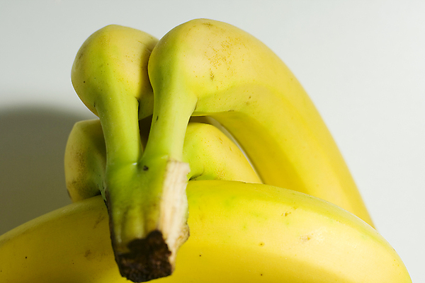 포토 JPG 해외이미지 계절 채소 재료 자연 바나나 건강 사람없음 건강관리 식사 주스 활발 시장 달콤 맛 상품 유기농 채식주의자 많음 해외포토 웰빙 음료 컨셉 과일 관리 생태계 채식 파일형식 이미지허브