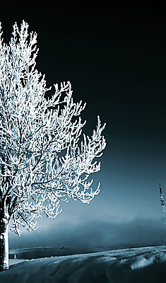 포토 JPG 해외이미지 나무 계절 호수 백그라운드 낙엽 겨울 자연 하늘 날씨 파노라마 풍경 사람없음 야외 가로 파란색 빛 햇빛 우주 냉동 얼음 활발 흰색 나뭇가지 신선 숲 크리스탈 가루 서리 지역 고드름 스카이라인 1월 넘어짐 벌거벗은 수평선 해외포토 자연요소 식물 컬러 컨셉 잎 모션 촬영기법 태양 날짜 광석 생태계 파일형식 이미지허브