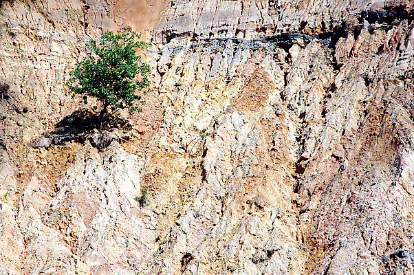 포토 JPG 해외이미지 구름 공원 지구 모래 벽 여행 오렌지 자연 하늘 날씨 산 건조 풍경 사람없음 야외 빨간색 컬러풀 뷰티 갈색 계곡 하이킹 사막 바위 황무지 신비 언덕 부식 질감 사암 침식 내추럴 절정 지질 지질학 해외포토 자연요소 공공시설 교육 컬러 컨셉 과일 레저 돌_바위 생태계 파일형식 이미지허브