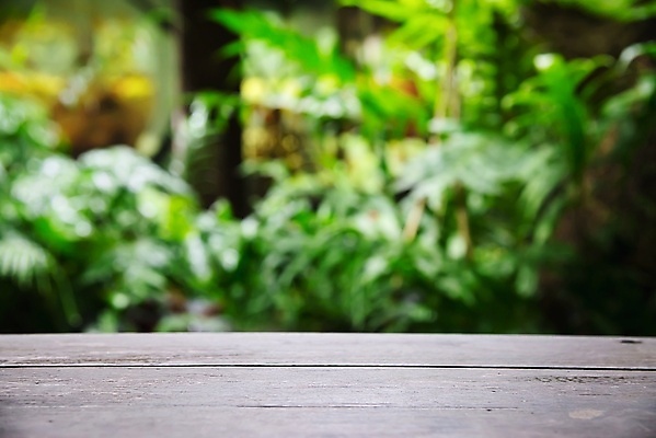 포토 JPG 해외이미지 나무 식물 디자인 계절 공원 백그라운드 잎 패턴 자연 탁자 추상 사람없음 야외 목재 초록색 햇빛 우주 환경 정원 봄 성장 나뭇가지 신선 숲 열대우림 생물학 녹색배경 내추럴 그리너리 해외포토 공공시설 교육 컬러 가구 무늬 재료 태양 생태계 파일형식 트랜드컬러 이미지허브