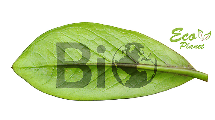 포토 JPG 해외이미지 나무 식물 지구 조각 컨셉 잎 지도 자연 미래 아이디어 사람없음 초록색 물 파란색 세계 지구본 환경 재활용 행성 에너지 흰색 원형 보호 이슬 땅 자르기 에코 생태계 유지 고립 모종 바이오 사방 생태학 여의주 해외포토 자연요소 도형 교육 컬러 모션 우주 친환경 파일형식 이미지허브