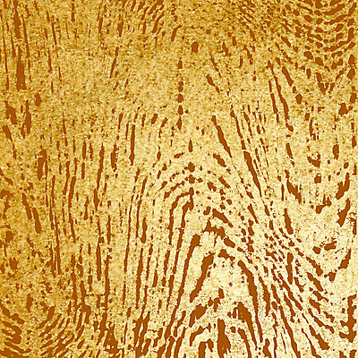 포토 JPG 해외이미지 디자인 종이 백그라운드 표면 날씨 추상 프레임 사람없음 책 갈색 노란색 우주 쪽지 공백 손상 수확 덮개 점 거친 주름 균열 황폐 질감 복고 심플 캔버스 페이지 스크래치 찢어짐 판지 구김 구식 그런지 세피아 양피지 옛날 원고 파피루스 노화 스타일 해외포토 식물 컬러 컨셉 무늬 농업 모션 촬영기법 뚜껑 파일형식 이미지허브