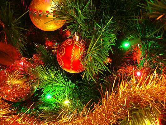 포토 JPG 해외이미지 나무 크리스마스장식 크리스마스 휴가 사람없음 해외포토 식물 기념일 파일형식 이미지허브