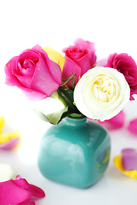 포토 JPG 해외이미지 식물 계절 꽃잎 꽃 꽃다발 백그라운드 오렌지 자연 유리 프레임 사랑 사람없음 빨간색 컬러풀 뷰티 장미 머리 우주 꽃병 활발 젖음 침대 신선 큼 배열 가득함 심볼 오브젝트 각도 고립 해외포토 감정 컬러 가구 컨셉 과일 재질 신체부위 크기 생태계 파일형식 이미지허브