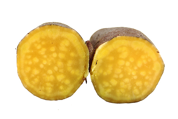 포토 JPG 해외이미지 단면 실내 사람없음 흰배경 슬라이스 고구마 해외포토 백그라운드 뿌리채소 내부 흰색 파일형식 이미지허브