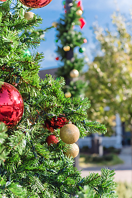 포토 JPG 해외이미지 나무 전통 계절 공원 크리스마스장식 크리스마스 겨울 공 유리 하늘 휴가 새해 주택 기념 매달리기 사람없음 장식 초록색 빛 반짝임 크리스마스트리 축제 미국 화환 장식볼 나뭇가지 축하 소나무 원형 화려 황금 닫기 정사각형 해피뉴이어 전나무 원뿔 광 여의주 텍사스 가문비나무 해외포토 도형 식물 공공시설 기념일 꽃 컬러 컨셉 북아메리카 모션 재질 건물 새해인사 파일형식 이미지허브