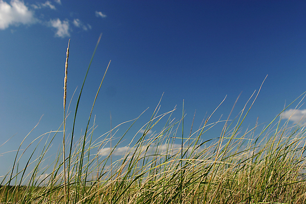 포토 JPG 해외이미지 하늘 추상 사람없음 초록색 해외포토 컬러 무늬 파일형식 이미지허브