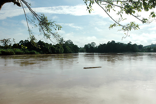 포토 JPG 해외이미지 나무 구름 공원 호수 여행 백그라운드 자연 하늘 산 안테나 풍경 초원 사람없음 야외 목재 초록색 물 여름 강 햇빛 뷰티 농장 반사 환경 맑음 침묵 봄 흐름 바위 시골 개울 숲 강가 땅 언덕 내추럴 생태학 해외포토 자연요소 식물 계절 공공시설 교육 컬러 컨셉 농업 재료 통신 날씨 태양 소리 돌_바위 생태계 파일형식 이미지허브
