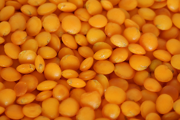 포토 JPG 해외이미지 식물 음식 백그라운드 패턴 농업 채소 오렌지 재료 자연 콩 건조 건강 옥수수 씨앗 사람없음 빨간색 농작물 노란색 그룹 변화 맛 작음 먹기 가득함 오브젝트 유기농 질감 날것 흙더미 수수 채식주의자 해외포토 웰빙 산업 컬러 컨셉 무늬 과일 모션 곡류 흙 크기 생태계 채식 파일형식 더미 이미지허브