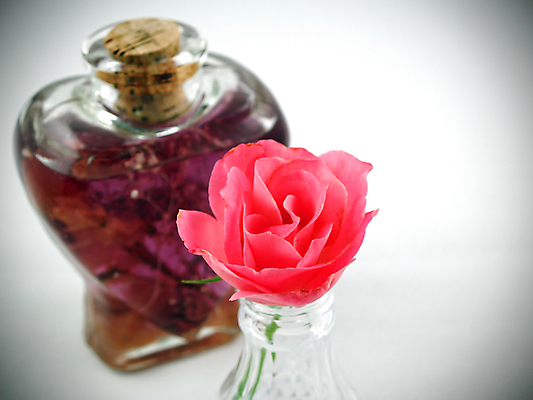 포토 JPG 해외이미지 식물 꽃잎 꽃 분홍색 백그라운드 꽃무늬 자연 불꽃 발렌타인데이 선물 사랑 사람없음 여름 빛 뷰티 장미 새싹 정원 꽃병 맑음 봄 낭만 젖음 벚꽃 흰색 물방울 신선 마사지 오픈 개화 기름 배열 준비 주기 기회 장면 부드러움 내추럴 해외포토 계절 감정 음식 컬러 컨셉 무늬 모션 데이이벤트 불 날씨 감각 생태계 파일형식 이미지허브