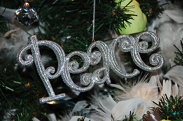 포토 JPG 해외이미지 나무 계절 크리스마스 사람없음 장식 평화 축제 은색 해외포토 식물 기념일 컬러 컨셉 파일형식 이미지허브