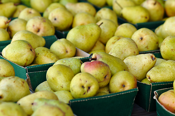 포토 JPG 해외이미지 음식 조각 잎 다이어트 과일 건강 사람없음 빨간색 초록색 컬러풀 바구니 침묵 신선 그룹 시장 달콤 혼합 먹기 기아 오브젝트 유기농 슛 비타민 섞기 수유 맛있는 해외포토 식물 웰빙 컬러 모션 소리 맛 사회이슈 영양소 파일형식 이미지허브
