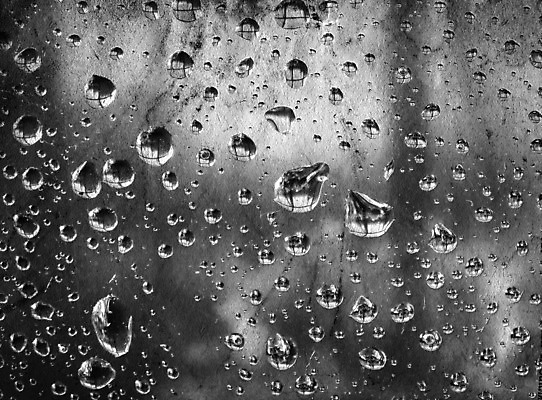 포토 JPG 해외이미지 디자인 종이 백그라운드 패턴 표면 추상 프레임 사람없음 책 물 쪽지 공백 손상 수확 골동품 덮개 점 얼룩 거친 균열 실 질감 문서 복고 캔버스 먼지 페이지 고정 찢어짐 구김 구식 그런지 보관소 보유 양피지 옛날 원고 노화 해외포토 자연요소 컨셉 무늬 농업 모션 뚜껑 저장 파일형식 이미지허브