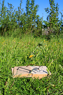 포토 JPG 해외이미지 안경 사람없음 책 허브 읽기 거짓말 해외포토 식물 잡화 모션 파일형식 이미지허브