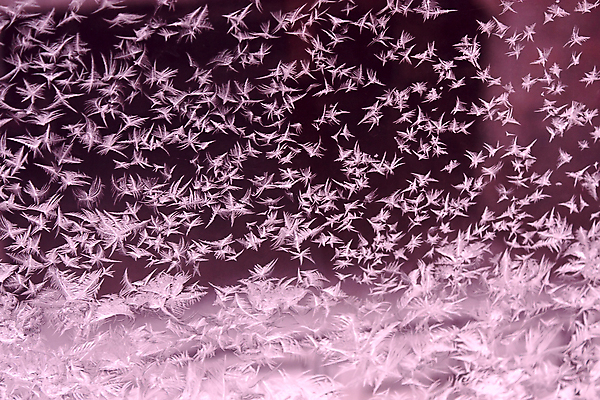 포토 JPG 해외이미지 백그라운드 겨울 패턴 유리 추상 사람없음 얼음 추위 그림 해외포토 자연요소 계절 무늬 재질 파일형식 이미지허브