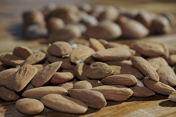 포토 JPG 해외이미지 음식 백그라운드 과일 재료 건강 3 사람없음 갈색 젖음 견과류 그룹 변화 기름 혼합 수집 아몬드 모음 흙더미 고립 식용 오메가 캐슈넛 개암 해외포토 열매 컬러 컨셉 흙 파일형식 더미 이미지허브