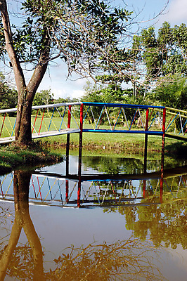 포토 JPG 해외이미지 나무 식물 구름 계절 공원 길 백그라운드 잎 밭 벤치 자연 하늘 풍경 잔디 초원 사람없음 야외 목재 초록색 여름 파란색 빛 햇빛 뷰티 환경 정원 맑음 침묵 봄 시골 신선 도시 숲 땅 싱글 조경 장면 내추럴 해외포토 자연요소 공공시설 컬러 농업 의자 재료 날씨 태양 소리 생태계 파일형식 이미지허브