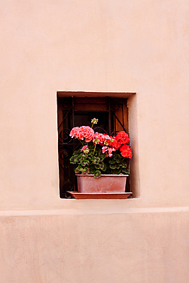 포토 JPG 해외이미지 식물 꽃 화분 벽 분홍색 창문 자연 주택 사람없음 야외 장식 빨간색 세로 초록색 모래사장 노란색 많음 해외포토 바다 컬러 컨셉 건물 생태계 파일형식 이미지허브