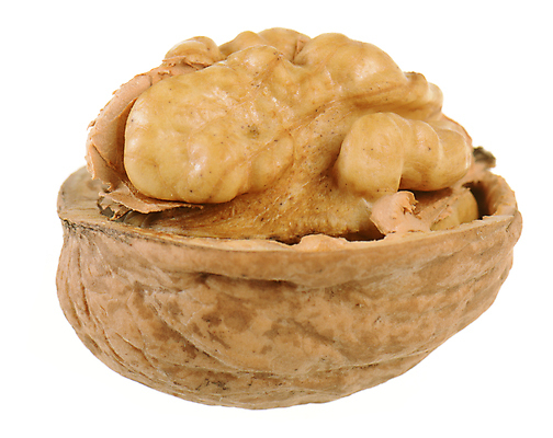 포토 JPG 해외이미지 계절 음식 백그라운드 다이어트 과일 재료 자연 건조 건강 씨앗 사람없음 갈색 견과류 껍질 흰색 신선 오픈 닫기 맛 먹기 오브젝트 유기농 알맹이 날것 호두 비타민 내추럴 고립 숙성 식용 맛있는 해외포토 식물 웰빙 컬러 컨셉 모션 생태계 영양소 파일형식 이미지허브