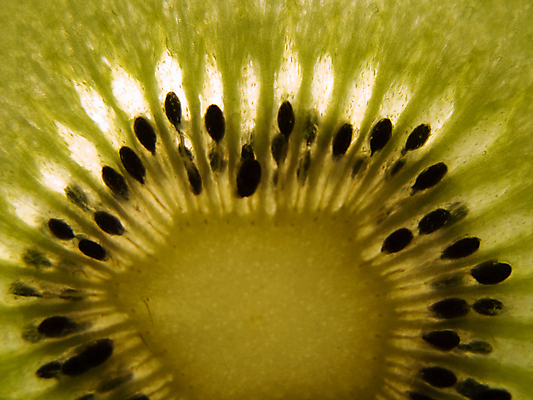 포토 JPG 해외이미지 음식 백그라운드 과일 재료 부분 자연 귤 건강 키위 씨앗 사람없음 가로 초록색 노란색 신선 달콤 먹기 상쾌 유기농 멀티 숙성 해외포토 식물 웰빙 감정 컬러 모션 맛 생태계 파일형식 이미지허브