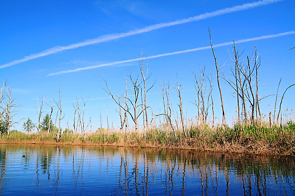 포토 JPG 해외이미지 나무 식물 구름 계절 공원 호수 여행 백그라운드 잎 밭 자연 하늘 아침 건조 풍경 초원 사람없음 야외 초록색 물 여름 파란색 강 컬러풀 반사 평화 환경 침묵 봄 가을 나뭇가지 백합 작음 허브 그림 러시아 찢어짐 생태학 해외포토 주간 자연요소 공공시설 교육 꽃 유럽 컬러 컨셉 농업 모션 소리 크기 생태계 파일형식 이미지허브