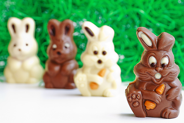 포토 JPG 해외이미지 음식 디저트 부활절 사탕 사랑 사람없음 갈색 초콜릿 당근 흰색 토끼 유머 4월 해외포토 기념일 감정 컬러 포유류 뿌리채소 반려동물 날짜 파일형식 이미지허브