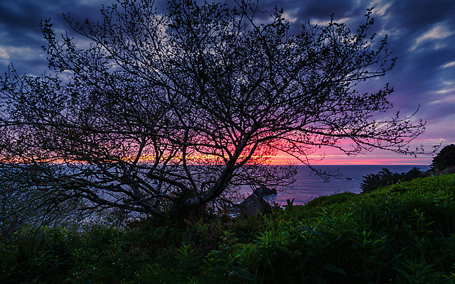 포토 JPG 해외이미지 구름 파도 바다 섬 백그라운드 오렌지 자연 하늘 아침 산 풍경 사람없음 야외 물 여름 파란색 햇빛 태양 반사 일출 보라색 침묵 일몰 수확 오픈 황금 건초더미 저녁 캘리포니아 태평양 대포 넘어짐 수평선 해외포토 주간 자연요소 계절 무기 컬러 농업 과일 모션 노을 미국 소리 건초 야간 생태계 파일형식 더미 이미지허브