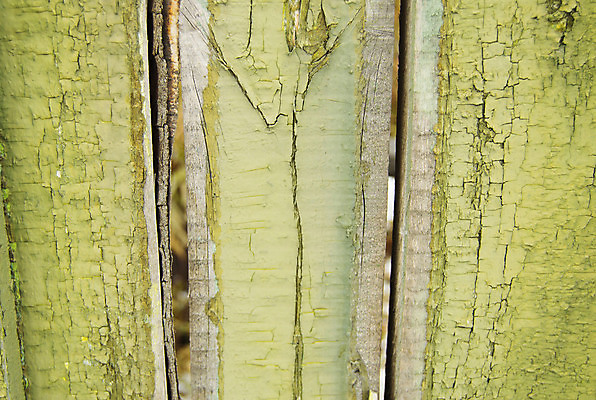 포토 JPG 해외이미지 디자인 벽 백그라운드 겨울 패턴 자연 표면 날씨 추상 주택 사람없음 야외 목재 장식 초록색 울타리 줄무늬 회색 도시 판넬 거친 버리기 질감 복고 염색 강렬 그런지 옛날 직진 효과 해외포토 나무 계절 컬러 무늬 재료 모션 건물 담장 생태계 파일형식 이미지허브