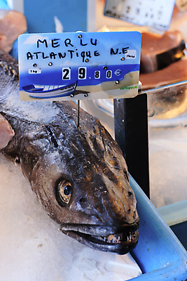 포토 JPG 해외이미지 산업 음식 바다 백그라운드 낚시 새우 거리 건강 어류 사람없음 물 머리 판매 쌓기 상점 식사 추위 죽음 신선 잡기 그룹 시장 구매 은색 큼 시원함 지중해 해산물 질감 꼬리 날것 낚시꾼 지느러미 소매 흙더미 줄서기 많음 해외포토 자연요소 컬러 컨셉 모션 레저 갑각류 신체부위 쇼핑 수중동물 흙 크기 파일형식 더미 이미지허브