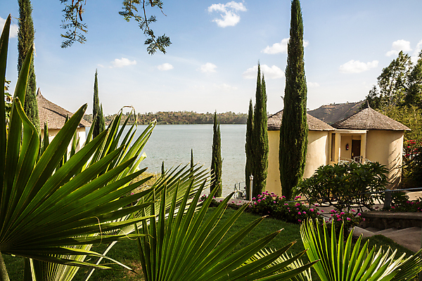 포토 JPG 해외이미지 나무 호수 여행 아프리카 휴가 사람없음 야외 초록색 물 정원 휴양지 에티오피아 해외포토 자연요소 식물 나라 컬러 장소 파일형식 이미지허브