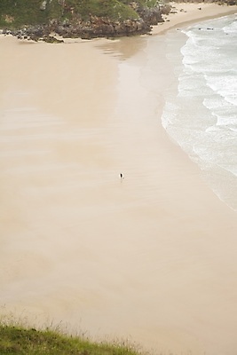 포토 JPG 해외이미지 라이프스타일 유럽 모래 스포츠 파도 바다 겨울 자연 조류 휴가 안테나 풍경 성인 사람없음 야외 세로 물 갈색 젖음 가을 만 서핑보드 서핑 기다림 스페인 썰물 서퍼 혼자 해외포토 자연요소 동물 계절 나라 컬러 통신 모션 운동선수 사람 생활 수상스포츠 보드_스포츠 생태계 파일형식 이미지허브