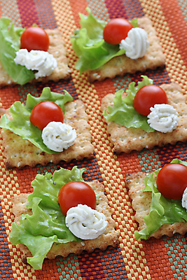 포토 JPG 해외이미지 음식 빵 토마토 채소 부분 치즈 건강 사람없음 빨간색 소풍 파티 크래커 축하 아침식사 상추 먹기 카나페 크림 속도 냅킨 채식주의자 해외포토 컬러 컨셉 모션 유제품 서양음식 이벤트 야외활동 쿠키 식사 채식 파일형식 이미지허브