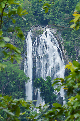 포토 JPG 해외이미지 나무 식물 공원 백그라운드 잎 모션 태국 자연 하늘 휴식 국립공원 풍경 사람없음 목재 초록색 물 강 수영 봄 폭포 젖음 성장 가을 신선 개울 숲 시원함 순수 즐거움 파라다이스 해외포토 자연요소 계절 공공시설 감정 아시아 컬러 컨셉 재료 수상스포츠 생태계 파일형식 이미지허브