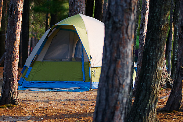 포토 JPG 해외이미지 나무 공원 모래 여행 자연 휴가 휴식 텐트 그림자 이끼 사람없음 야외 초록색 파란색 빛 햇빛 갈색 침묵 캠핑 장비 소나무 황무지 고독 숲 땅 캠핑장 부식 나무껍질 내추럴 노숙자 해외포토 식물 공공시설 감정 컬러 컨셉 레저 캠핑도구 태양 소리 껍질 생태계 파일형식 이미지허브