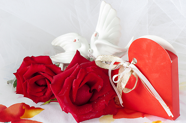 포토 JPG 해외이미지 기념일 꽃 행복 리본 분홍색 결혼 백그라운드 가족 결혼식 휴가 사탕 선물 사랑 이벤트 사람없음 장식 상자 파티 축제 기쁨 낭만 흰색 축하 설탕 천 활 기회 패키지 성찬식 세례 해외포토 식물 감정 컬러 컨셉 관계 디저트 직물 파일형식 이미지허브