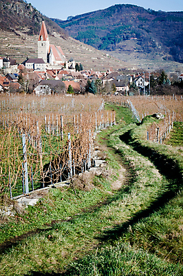포토 JPG 해외이미지 식물 외관 유럽 산업 길 여행 겨울 농업 건축양식 자연 산 주택 풍경 사람없음 건물 농작물 교회 마을 와인 가을 오스트리아 재산 언덕 포도밭 포도나무 방법 밭일 해외포토 건축물 계절 건축 나라 밭 종교건축 주류 금융 과일나무 생태계 파일형식 이미지허브