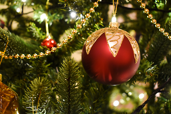 포토 JPG 해외이미지 전통 계절 기독교 종교 문화 크리스마스장식 크리스마스 겨울 공 가정 휴가 아파트 주택 아이디어 실내 매달리기 창조 사람없음 장식 빨간색 크리스마스트리 축제 장식볼 축하 화려 12월 전나무 거짓 해외포토 나무 기념일 컬러 컨셉 모션 내부 건물 날짜 파일형식 이미지허브