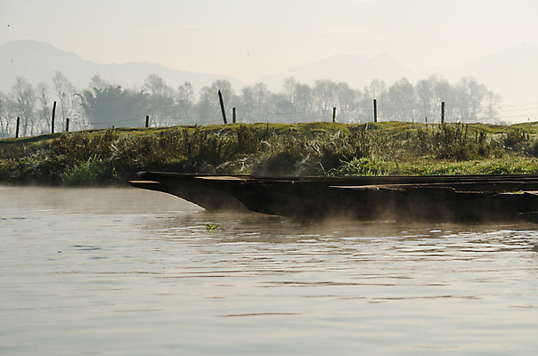 포토 JPG 해외이미지 나무 식물 아시아 도로 여행 백그라운드 낙엽 잎 자연 아침 산 풍경 사람없음 야외 초록색 여름 태양 환경 침묵 트래킹 안개 성장 시골 소나무 숲 뿌리 장면 지역 굴곡 방법 파라다이스 해외포토 주간 자연요소 계절 나라 길 컬러 교통시설 레저 날씨 소리 생태계 파일형식 이미지허브