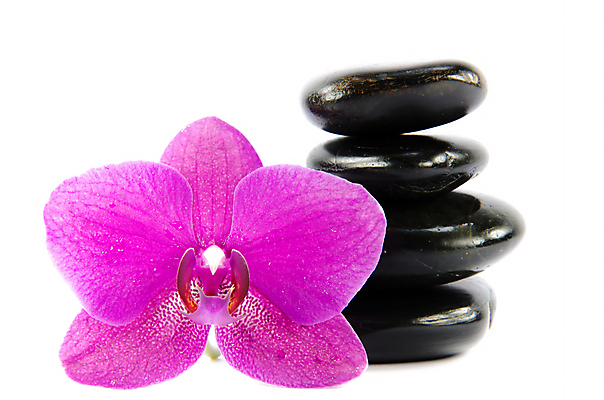 포토 JPG 해외이미지 꽃 선 사람없음 가로 쌓기 보라색 검은색 조약돌 바위 흰색 난초 해외포토 식물 컬러 모션 돌_바위 파일형식 이미지허브