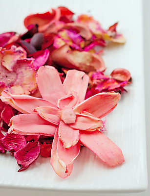 포토 JPG 해외이미지 식물 꽃잎 꽃 문화 선 분홍색 결혼 백그라운드 컨셉 잎 꽃무늬 오렌지 자연 휴식 건조 건강 사랑 동양인 사람없음 장식 빨간색 뷰티 장미 갈색 평화 검은색 스파 목욕 낭만 바위 흰색 마사지 뜨거움 고급 닫기 냄비 심볼 유기농 정사각형 테라피 내추럴 고립 엘리먼트 해외포토 도형 웰빙 감정 컬러 무늬 과일 모션 인종 이벤트 청결 돌_바위 솥 생태계 파일형식 이미지허브