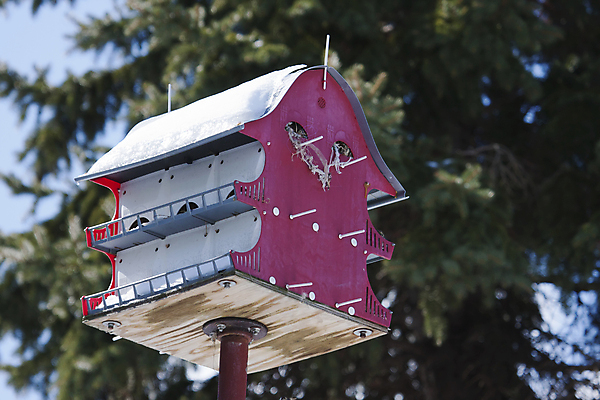 포토 JPG 해외이미지 동물 야생동물 자연 조류 지붕 날씨 주택 취미 사람없음 야외 목재 장식 빨간색 여름 상자 교회 둥지 오브젝트 새장 외양간 특별함 핸드메이드 해외포토 나무 계절 컬러 컨셉 재료 종교건축 건물 생태계 케이지 파일형식 이미지허브